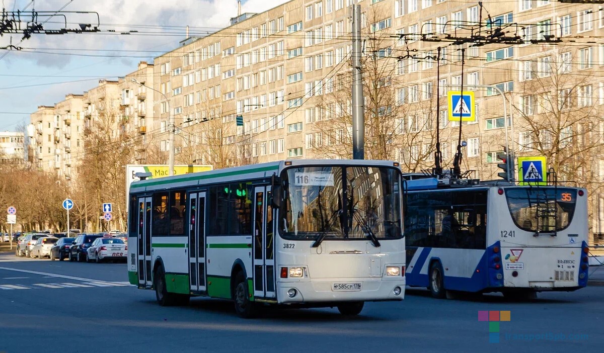 Автобус 116 3822 СПб: фото