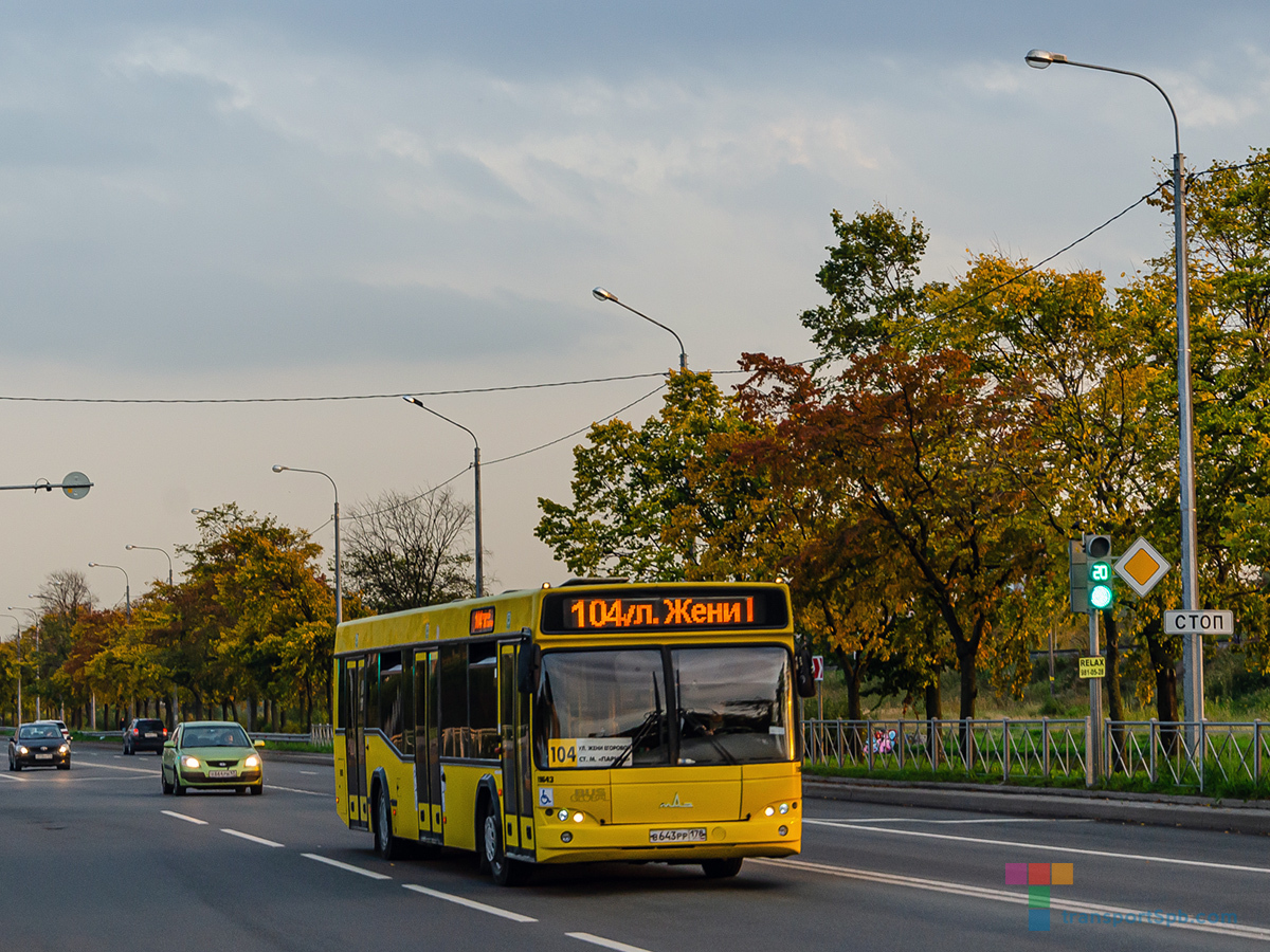 Автобус 104 СПб: фото